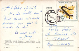 STAMPS REPTILES, LIZARDS, TUSNAD ROMANIA POSTCARD - Roumanie