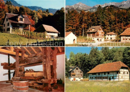 13655998 Brienz BE Schweizerisches Freilichtmuseum Ballenberg Rebbauernhaus Wein - Sonstige & Ohne Zuordnung