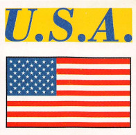 Flag Chromo -  U.S.A. - 5 X 5 Cm - Sonstige & Ohne Zuordnung