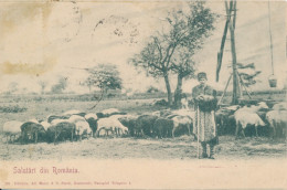 Salutari Din Romania 1900 - Romania