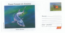 IP 2009 - 36 STURGEON, Romania - Stationery ( Stag In Fixed Stamp ) - Unused - 2009 - Ganzsachen