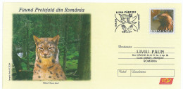 IP 2009 - 040b LYNX, Romania - Stationery, Special Cancellation - Used - 2009 - Ganzsachen