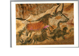 LASCAUX 24 - Le Grand Taureau Et Les Chevaux Carte Vierge  - Other & Unclassified