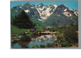 ALPE D'HUEZ 38 - Le Jardin Alpin Au Col Du Lautaret Et Le Massif De La Meije 1979 - Other & Unclassified
