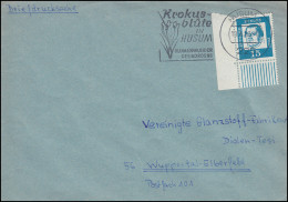 351y Luther Eckstück Unten Links Als EF Auf Briefdrucksache HUSUM 19.4.1963  - Covers & Documents