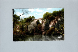 Paris (75) : Le Parc Des Buttes-Chaumont, Le Lac Et Le Pont - Parks, Gärten