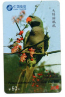 Télécarte Chine Bird Oiseau Vogel Perroquet Parrot (K 258) - Cina