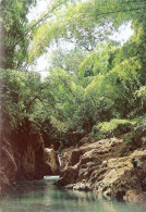 *CPM - 972 - MARTINIQUE - L'AJOUPA BOUILLON - Le Saut Babin - Autres & Non Classés