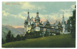 RO 77 - 22348 SINAIA, Prahova, PELES Castle, Romania - Old Postcard - Unused  - Rumania