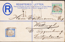 1902. FEDERATED MALAY STATES 5c Registered Envelope Tiger Motive  To Switzerland Uprated ... (Michel 19 + 15) - JF544632 - Federated Malay States