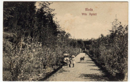 MEDA - VILLA AGRATI - MONZA - Animata - Vedi Retro - Formato Piccolo - Monza