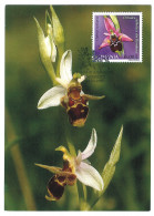 MAX 58 - 664 ORCHID, Romania - Maximum Card - 2007 - Cartoline Maximum