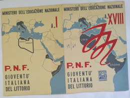 Bp147 Pagella Fascista Regno D'italia P.n.f.gioventu' Del Littorio Agira Enna - Diplomas Y Calificaciones Escolares