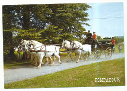 CPSM  / CPM 10.5 X 15  Corrèze ARNAC - POMPADOUR Cité Du Cheval Grand Break Attelage à 5 Percherons - Arnac Pompadour