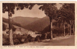 BUSSANG ( 88 ) - Pont Et Vallée Du Sechenat - Bussang