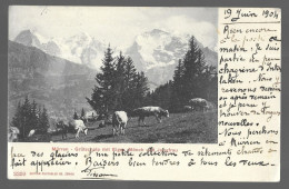 Mürren, Grütschalp Mit Eiger, Monch, Jungfrau (9971) - Mürren