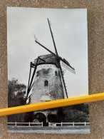 POSTKAART WINDMOLEN TIELT-AARSELE DELMERENSMOLEN (1857) ECHTE FOTO Reeks Windmolens Van West-Vlaanderen 1991 - Tielt