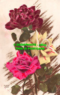 R516738 Roses. Postcard - Monde