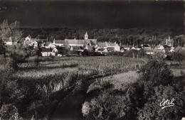 FRANCE - Sainte Mesme - Les Bords De L'Orge - Effet De Soleil - Carte Postale - Rambouillet