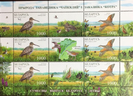 Belarus 2007 Nature Reserve Birds Sheetlet MNH - Andere & Zonder Classificatie