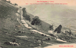 65 - COL DE PEYRESOURDE _S28429_ Descente De La Route Vers Luchon - Agriculture - Autres & Non Classés