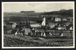 AK Bruckberg B. Ansbach / Mfr., Teilansicht Mit Pflegeanstalt  - Ansbach