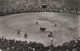 CORRIDA - Un Taureau égaré Dans L'arène - Animé - Carte Postale - Corrida