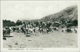 ERITREA - PASTORI BENI AMER / SHEPHERDS BENI AMER - PHOTO COMINI - 1930s (12526) - Erythrée