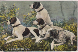 UK - "Waiting For Teh Guns" - Dogs In A Group. Birkenhead Postmark 1909. Raphael Tuck  8094 - Hunde