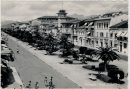 VIAREGGIO    VIALI  LUNGOMARE   (NUOVA) - Viareggio