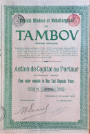 Société Minière Et Métallurgique De Tambov (1911) - Action De Capital Au Porteur - Mines