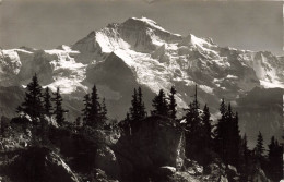 SUISSE - Schynige Platte Bahn - Blick Auf Die Jungfrau 4158 M - Carte Postale - Other & Unclassified