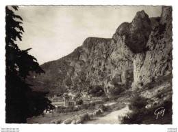 04 MOUSTIERS SAINTE MARIE Vers Digne Castellane N°7217 Vue Générale Avec Troupeau De Moutons Sur Chemin VOIR DOS - Digne