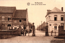 P137 SINT-PAUWELS : De Nieuwe Straat, Animatie - Sint-Gillis-Waas