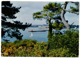 CPSM GF 56 - ILE AUX MOINES (Morbihan) - Pointe Du Trech - Vue Sur La Pointe D'Arradon - Ile Aux Moines