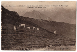 CPA 65 - CAUTERETS (Hautes Pyrénées) - 46. Col De Riou. Vue Sur Les Glaciers Du Pic D'enfer, Le Péguère Et Le Monné - Cauterets