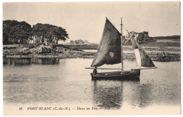 CPA 22 - PORT BLANC (Côtes D'Armor) - 10. Dans Les îles. ND - TBE - Penvénan