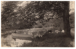 CPA 89 - SAINT SAUVEUR EN PUISAYE (Yonne) - Au Château. Le Canal (animée, Lavandières) - Ed. Bergery - Saint Sauveur En Puisaye