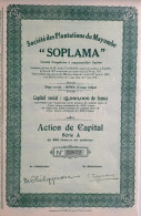 Société Des Plantations De Mayumbé - SOPLAMA - Boma (Congo Belge) - 1927 - Afrique