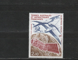 TAAF YT PA 115 ** : Albatros - 1991 - Airmail