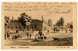 1.7.13 ITALY, MILANO, IL LAZZARETTO, FAMILY, ANIMALS, TRADING ,1933, POSTCARD - Milano (Mailand)