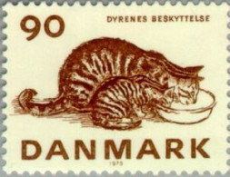 DANEMARK -  Chat Domestique (Felis Silvestris Catus) - Oblitérés