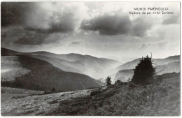 Parâng Mountains - View Of Șurianu Peak - Rumänien