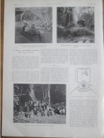 1924   Elevage D Eléphants CEYLAN  Un  KRAAL  Piège à Elephant Chasse Rabatteurs - Non Classificati