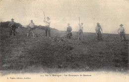 CPA 15 SUR LA MONTAGNE LES EXTRACTEURS DE GENTIANE  Vigier éditeur Aurillac  Rare - Aurillac