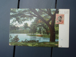 Belle Cpa Couleur The Lake - Kandy, Ceylon. 1908 - Sri Lanka (Ceylon)