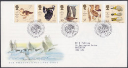 GB Great Britain 1996 FDC Wildfowl, Wetlands, Fowl, Bird, Birds, Swan, Duck, Goose, Pictorial Postmark, First Day Cover - Storia Postale