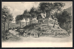 AK Königswinter, Gasthaus Restauration Schäfer Am Hirschberg Mit Strasse U. Umgebung  - Koenigswinter