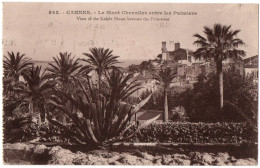 CPA 06 - ILE SAINTE MARGUERITE (Alpes Maritimes) - 543. Le Mont Chevalier Entre Les Palmiers - Cannes