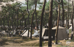 Lacanau : Le Camping Dans La Forêt. - Other & Unclassified
